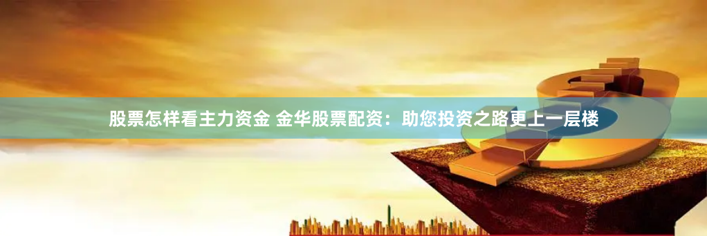 股票怎样看主力资金 金华股票配资：助您投资之路更上一层楼